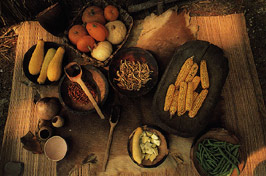 click here to view Virtual Jamestown